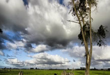 奥地利选手滑雪项目中表现出色，收获第四名