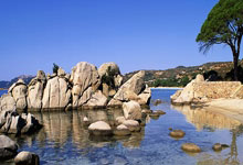 阿森纳经过激烈比赛，逆转取胜：红白激情再燃